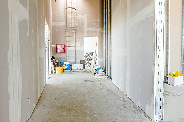 Best Water-Damaged Drywall Repair  in Signal Hill, CA